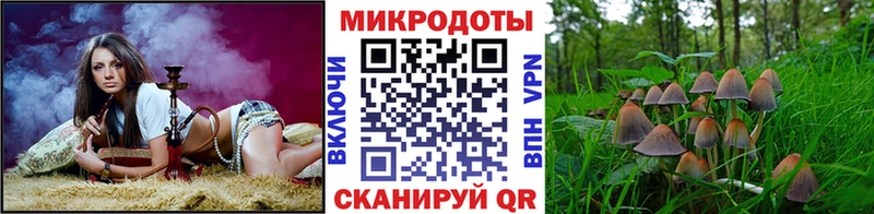 Псилоцибиновые грибы прущие грибы  Семилуки 