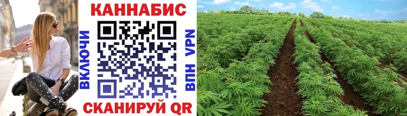 Бошки Шишки White Widow  площадка Telegram  Семилуки 